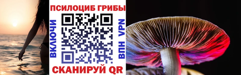 Галлюциногенные грибы MAGIC MUSHROOMS  Городец 